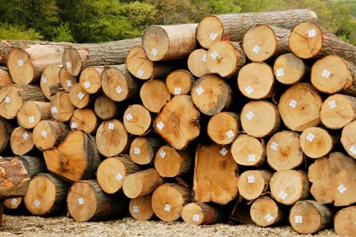 hardwoods-logs